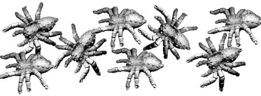 C-HA07 - Giant Spiders (8)